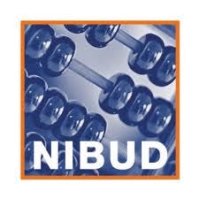 Nibud: Meer hypotheek door hoger loon