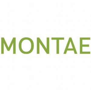 Montae en Floreijn fuseren tot Montae & Partners