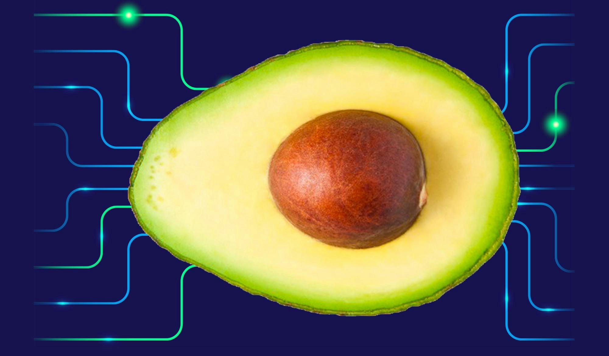AI-processen: dit kun je leren van de avocado-industrie