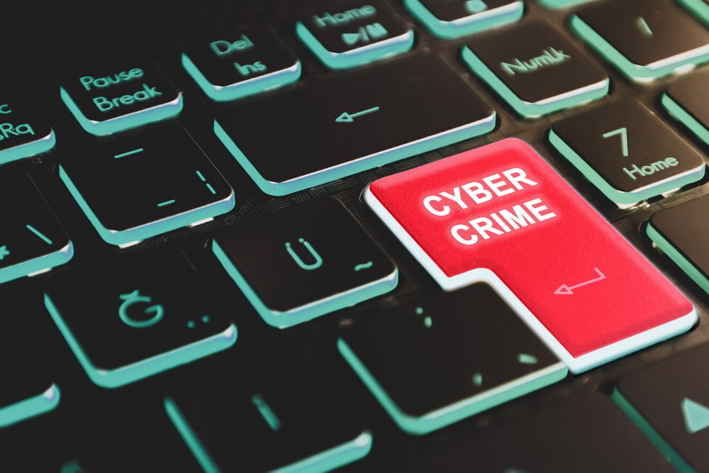 Haags insurtech-bedrijf neemt heft in eigen handen en komt met cyberverzekering