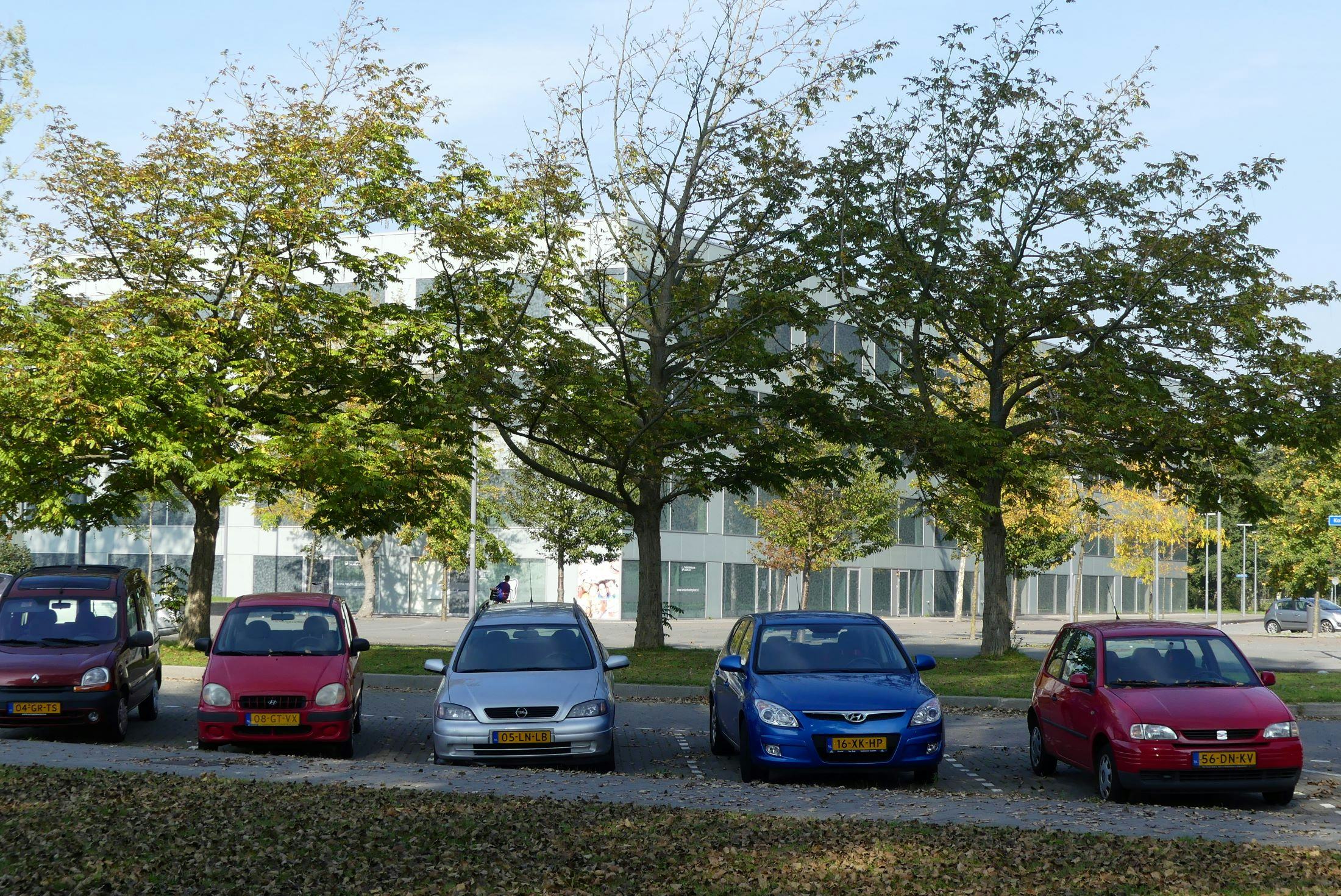 Bossche parkeerpiraten willen dat ASR alsnog hun 73e aanrijding vergoedt