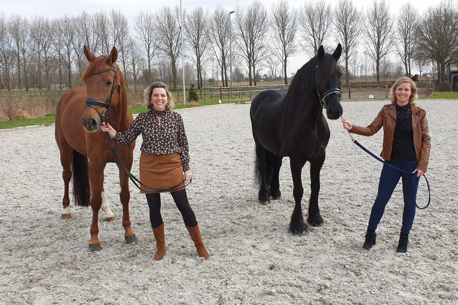 Intermediair: Hoe de online stal van Paardenverzekeraar.nl bijdraagt aan Finagri