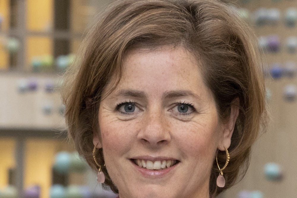 Ctto Anke Schlichting weg bij Aegon; Jelle Ritzerveld volgt haar deels op