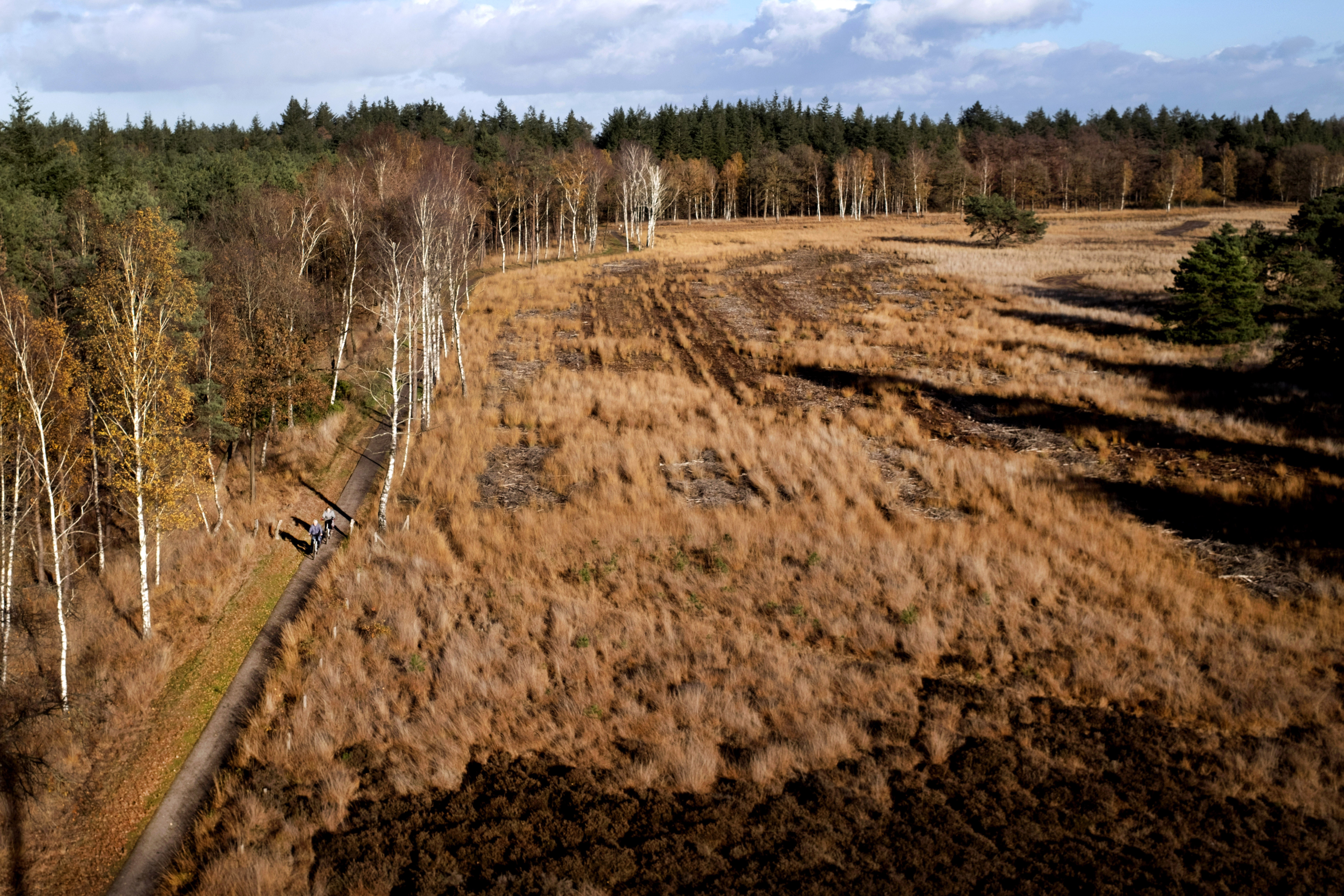 Landgoed De Utrecht vanaf de 22 meter hoge uitkijktoren De Flaestoren (beeld: 
ANP/HollandseHoogte/OlafKraak)