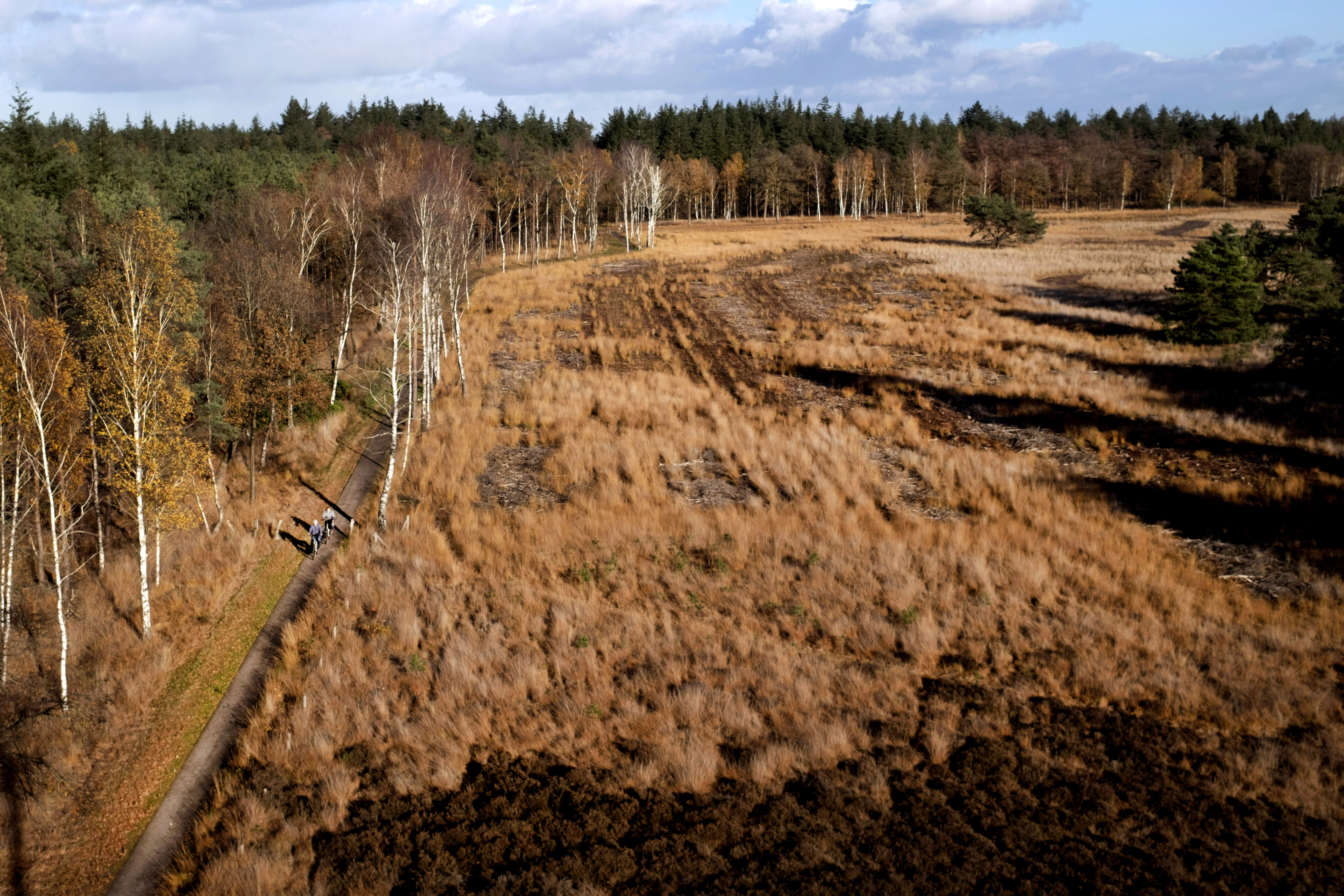 Landgoed De Utrecht vanaf de 22 meter hoge uitkijktoren De Flaestoren (beeld:
ANP/HollandseHoogte/OlafKraak)