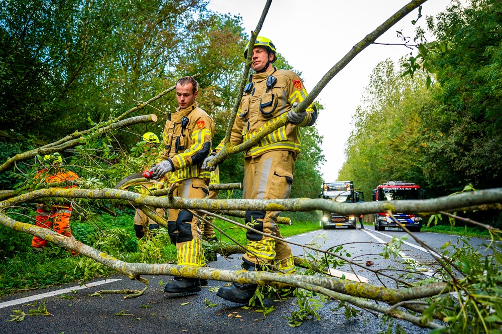 Bomen op de weg door storm Boelo | Beeld: ANP