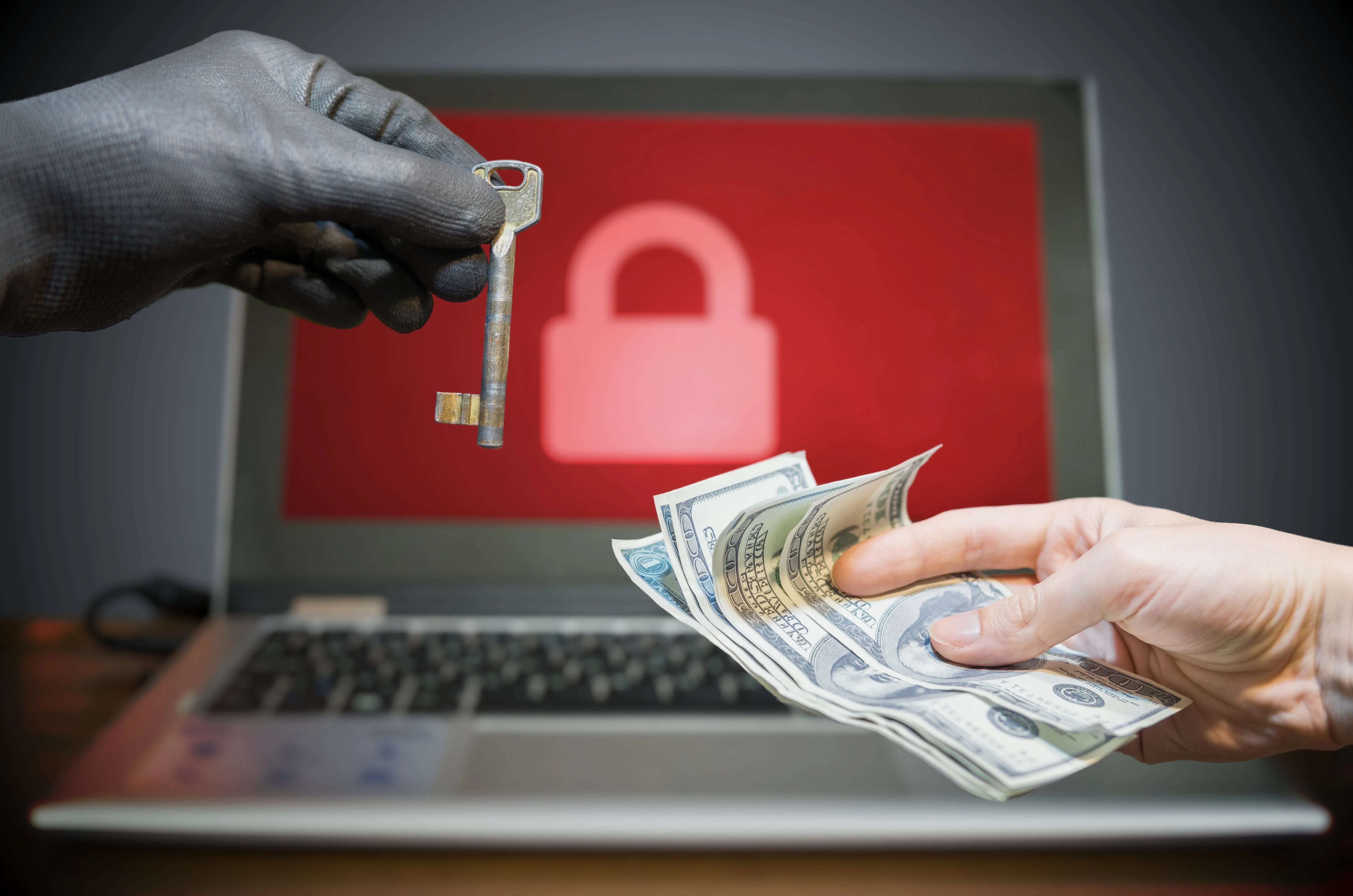 Beeld: Shutterstock