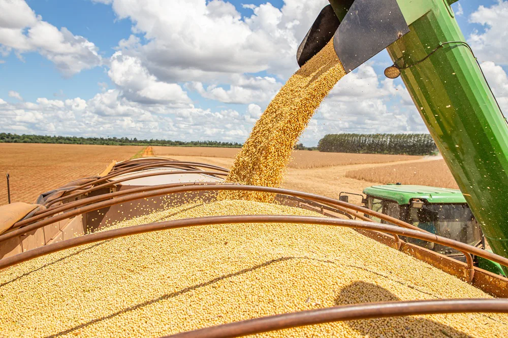 Oogst sojabonen in Paraguay | Beeld: Shutterstock